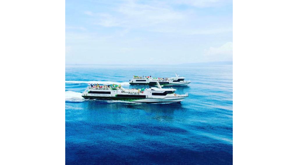 1Day Tour- Two Island Penida East and Lembongan